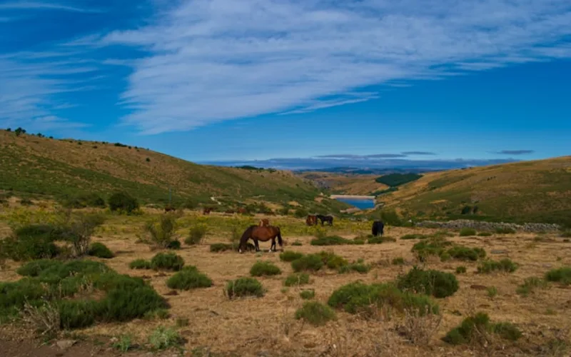 Highlands Ranch Appliance Repair