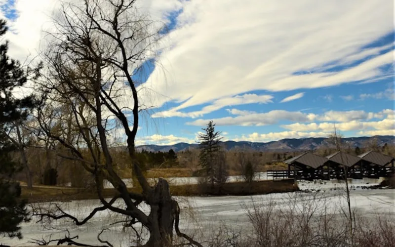 Appliance Repair in Lakewood, CO